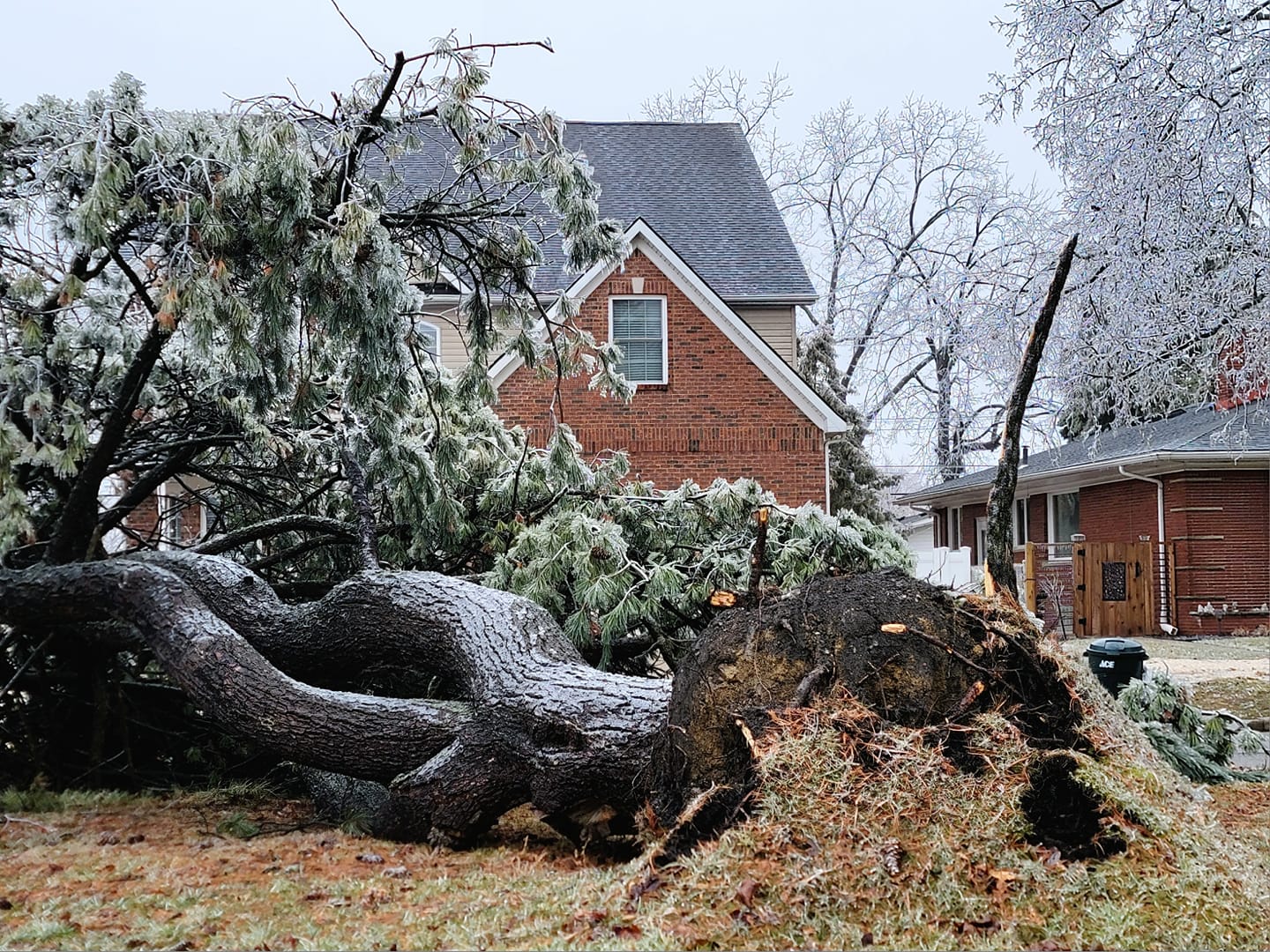 February 22nd 2023 Winter Storm